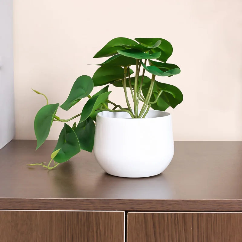 EverGreen™ Urban Artificial Potted Plant for Desktop & Entryway
